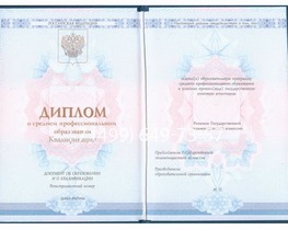 Диплом техникума ГОЗНАК 2014-2026 года